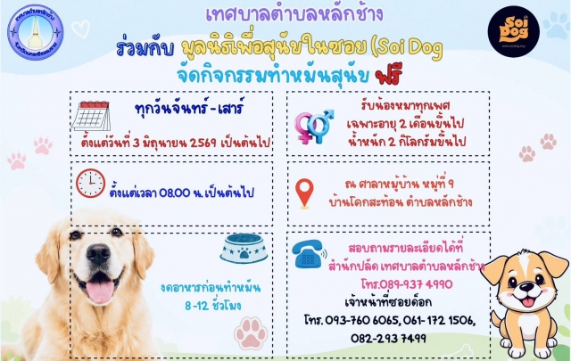 เทศบาลตำบลหลักช้างร่วมกับมูลนิธีเพื่อสุนัข(Soi Dog)จัดกิจกรรมทำหมันสุนัขฟรี